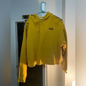 Cropped Puma Hoodie